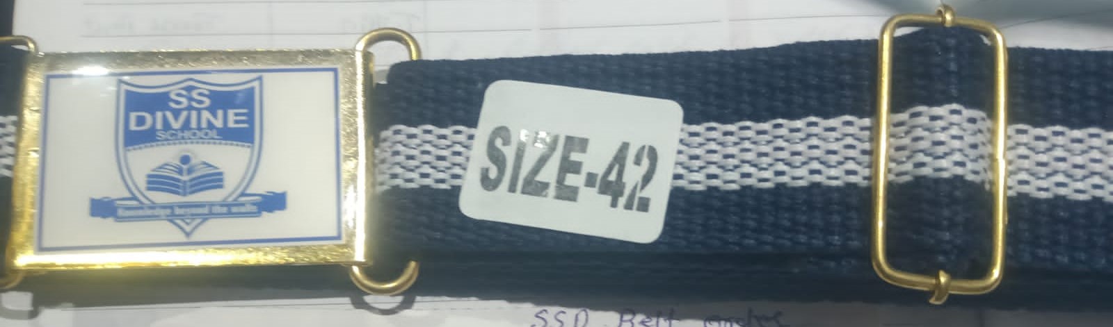22 NAVY/SKY(SS DIVINE)